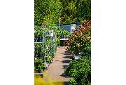 Garten-Center Spiering GmbH - GALLERY