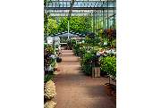 Garten-Center Spiering GmbH - GALLERY