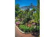 Garten-Center Spiering GmbH - GALLERY