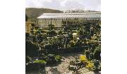 GARTEN KERN B. GÄRTNEREI - GALLERY