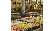 GARTEN KERN B. GÄRTNEREI - GALLERY