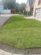 Garten & Landschaftsbau Balta und Sohn - 3