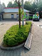 Garten-, Landschaftsbau & Containerservice Jarocki - Grüninsel vorher