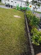 Garten-, Landschaftsbau & Containerservice Jarocki - Mähkante