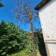 Garten- Landschaftsbau Galatec - GALLERY
