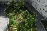 Garten- & Landschaftsbau Zossen Sven Rattarius - Berliner Quartier Auswärtiges Amt,Natursteinpflasterarbeiten,Tiefgaragenbegrünung mit Großbaumbepflanzung