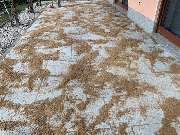 Garten- Landschaftsgestaltung Scheinert - 17