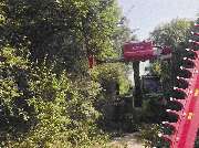 Garten- & Landschaftspflege Fa. Torsten Marks - GALLERY