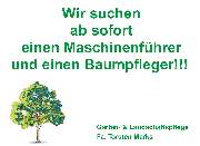 Garten- & Landschaftspflege Fa. Torsten Marks - GALLERY