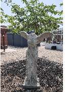 Garten & Leben - GALLERY