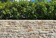Garten SCHMEINK - GALLERY