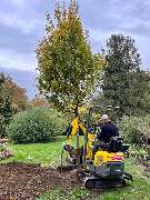 Garten SCHMEINK - GALLERY