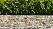 Garten SCHMEINK - GALLERY