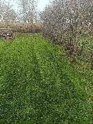 Garten Service Schmidt - 1