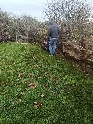 Garten Service Schmidt - 4