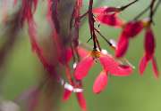 Garten & So - GALLERY