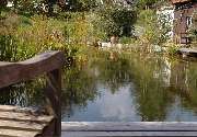 Garten & so Markus Tietz - GALLERY