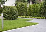 Garten & so Markus Tietz - GALLERY