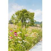 Garten Stahl GmbH - GALLERY