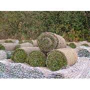 Garten Stahl GmbH - GALLERY