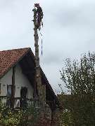 Garten und Forstbetrieb Feibig - GALLERY