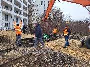 Garten und Forstbetrieb Feibig - GALLERY