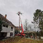 Garten und Forstbetrieb Feibig - GALLERY