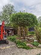 Garten und Landschaft Nikolaus Rußegger - GALLERY