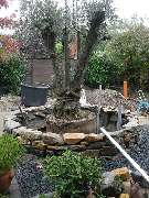 Garten- und Landschaftsbau Bundhund - GALLERY