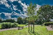 Garten- und Landschaftsbau Carsten von Appen in Schenefeld - Baumpflege und -fällung
Das sichere, fach- und sachgerechte Beschneiden von Bäumen stellt nicht nur eine unserer Kernkompetenzen dar, es ist uns ein besonders wichtiges Anliegen – schließlich hä