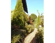 Garten- und Landschaftsbau Edelhäuser - GALLERY