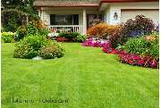 Garten- und Landschaftsbau Frank Serviceleistungen - GALLERY