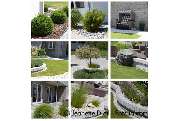 Garten- und Landschaftsbau Frank Serviceleistungen - GALLERY