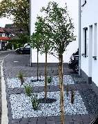 Garten und Landschaftsbau Igel GmbH - GALLERY