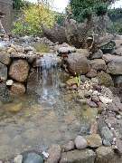 Garten- und Landschaftsbau Meier - 4