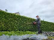 Garten und Landschaftsbau Merz - 14