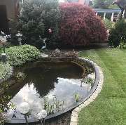 Garten- und Landschaftsbau Rainer Hofmann, Inh. Luan Qufaj - GALLERY