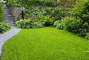 Garten- und Landschaftsbau Seiffert e.K. - GALLERY
