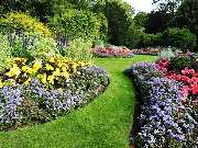 Garten- und Landschaftsbau Thomas Nowak - GALLERY