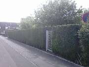 Garten und Landschaftspflege Pfaff - 3