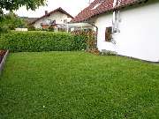 Garten und Landschaftspflege Pfaff - 6