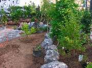 Garten und mehr - Jan Langhanki - GALLERY