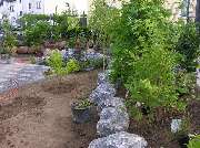 Garten und mehr - Jan Langhanki - GALLERY