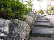 Garten und mehr - Jan Langhanki - GALLERY