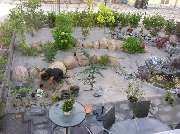 Garten und mehr - Jan Langhanki - GALLERY