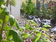 Garten und mehr - Jan Langhanki - GALLERY