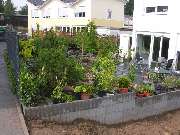 Garten und mehr - Jan Langhanki - GALLERY