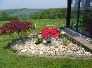 Garten und mehr - Jan Langhanki - GALLERY