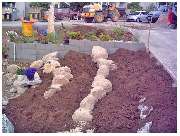 Garten und mehr - Jan Langhanki - GALLERY