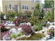 Garten und mehr - Jan Langhanki - GALLERY